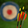 Arrows and target
