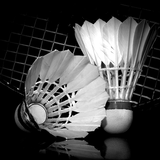 Shuttlecock and badminton