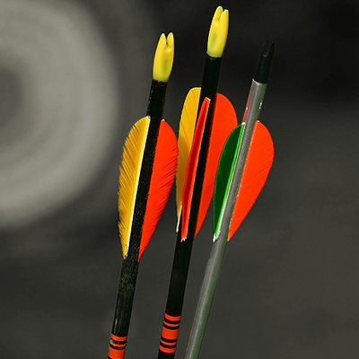 Arrows and target