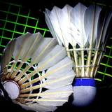 Shuttlecock and badminton